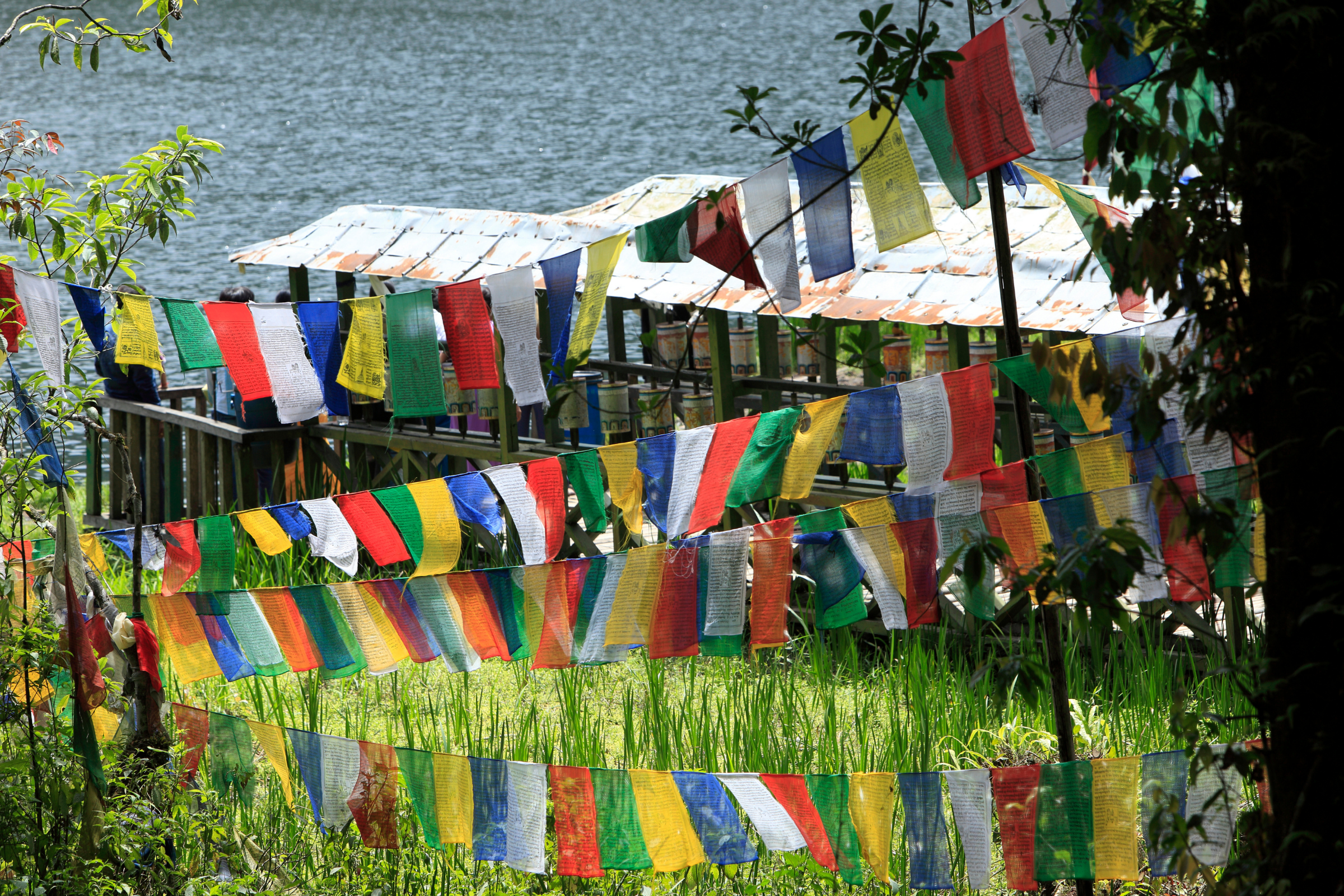 khecheopalri lake (2).webp